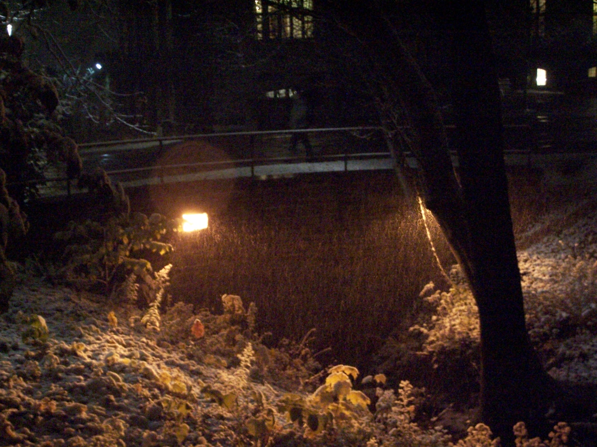 Weather: Wintry slop to start, but quieter late week - The Ithaca Voice