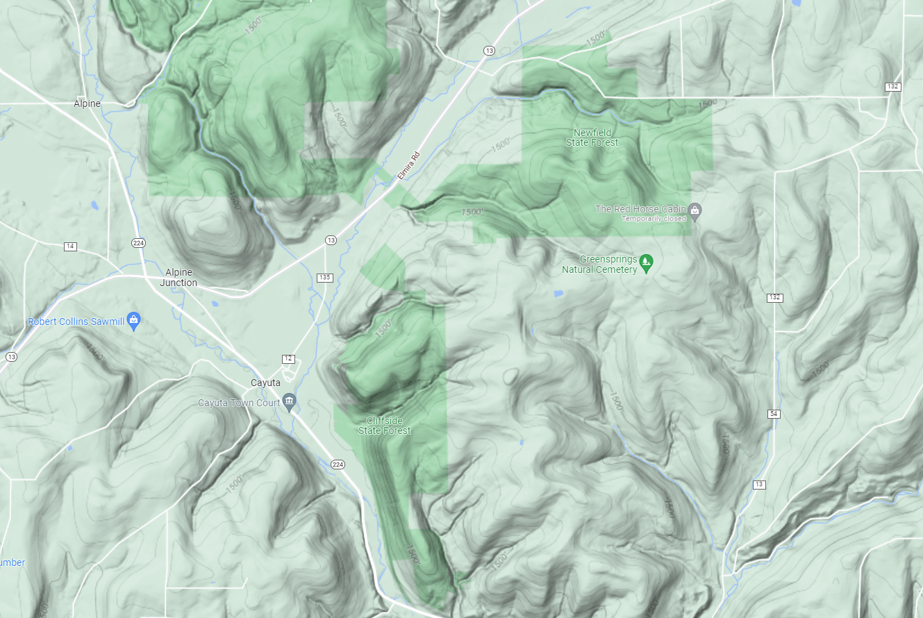 DEC releases management plan for Newfield State Forest The Ithaca Voice