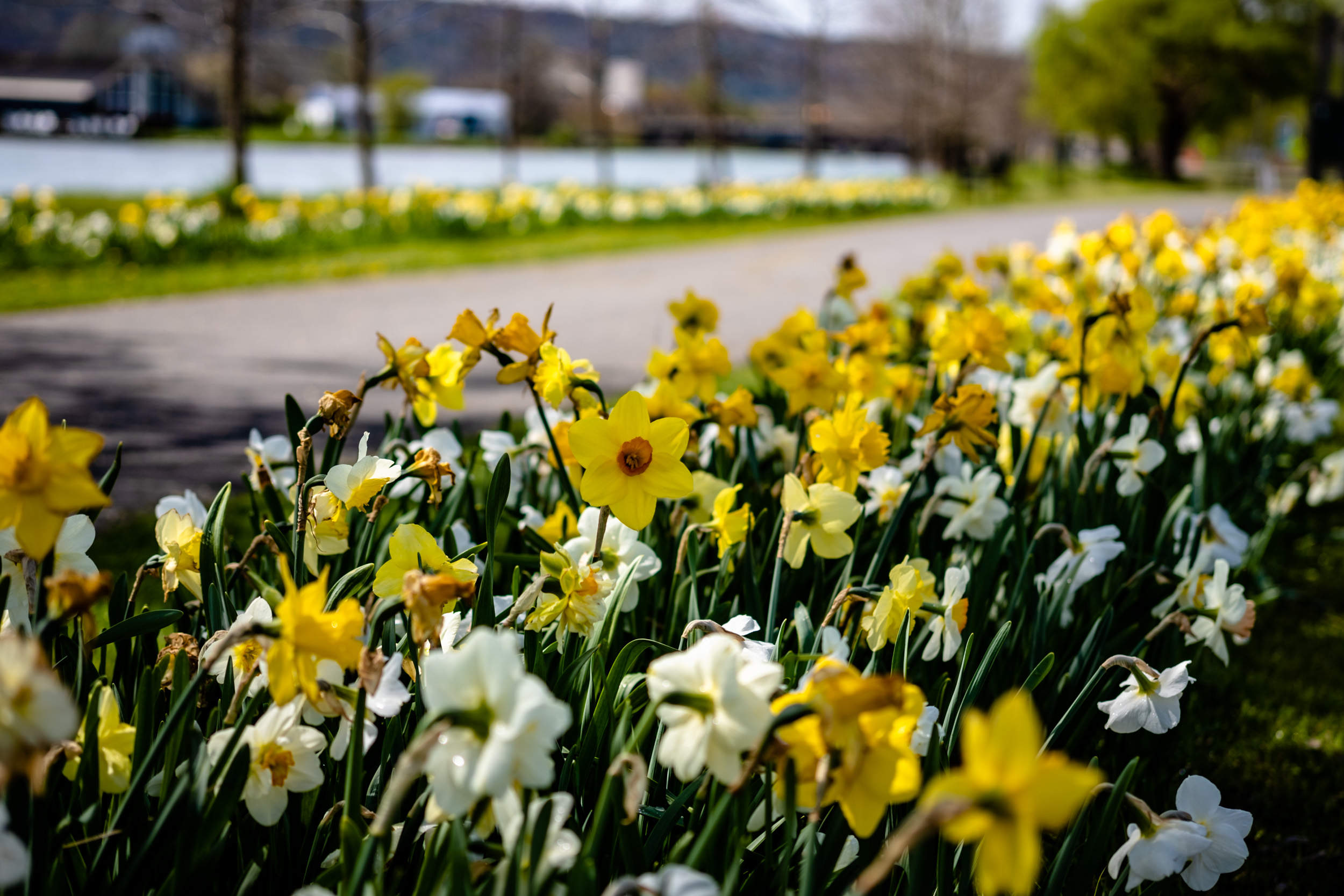 The Ithaca Voice (@TheIthacaVoice) on Flipboard