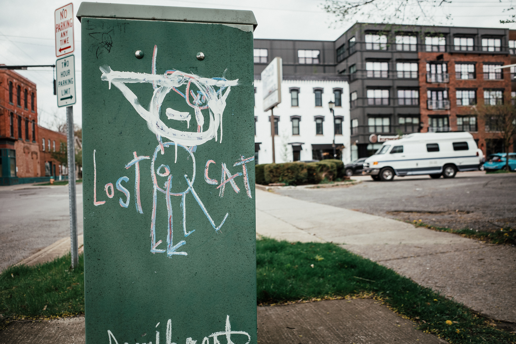 The legacy of Lost Cat Ithaca’s street art icon dies at 55 The