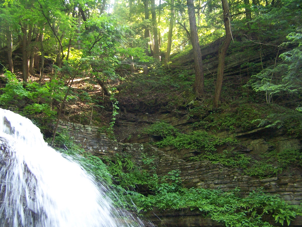 Weather: Warm, humid pattern to take hold this week - The Ithaca Voice