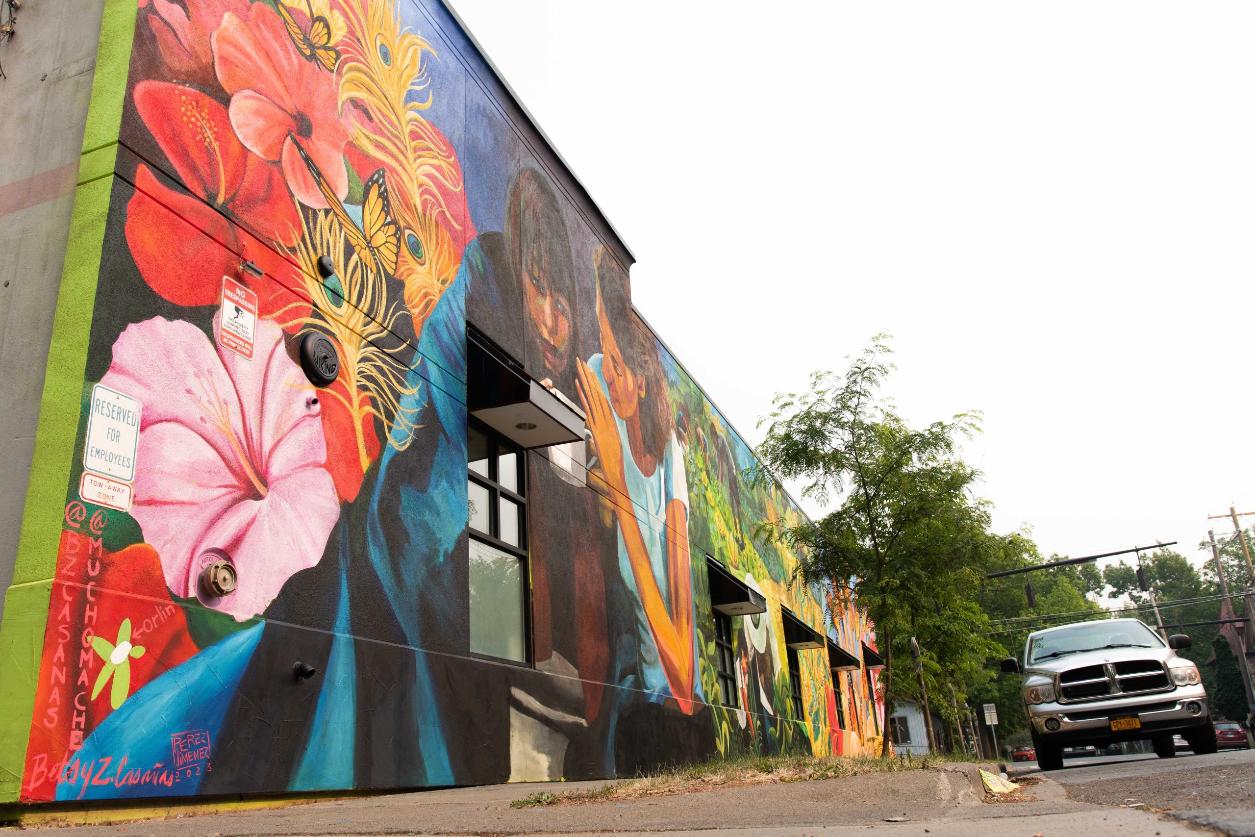 CARS debuts Ithaca's newest and largest mural downtown The Ithaca Voice