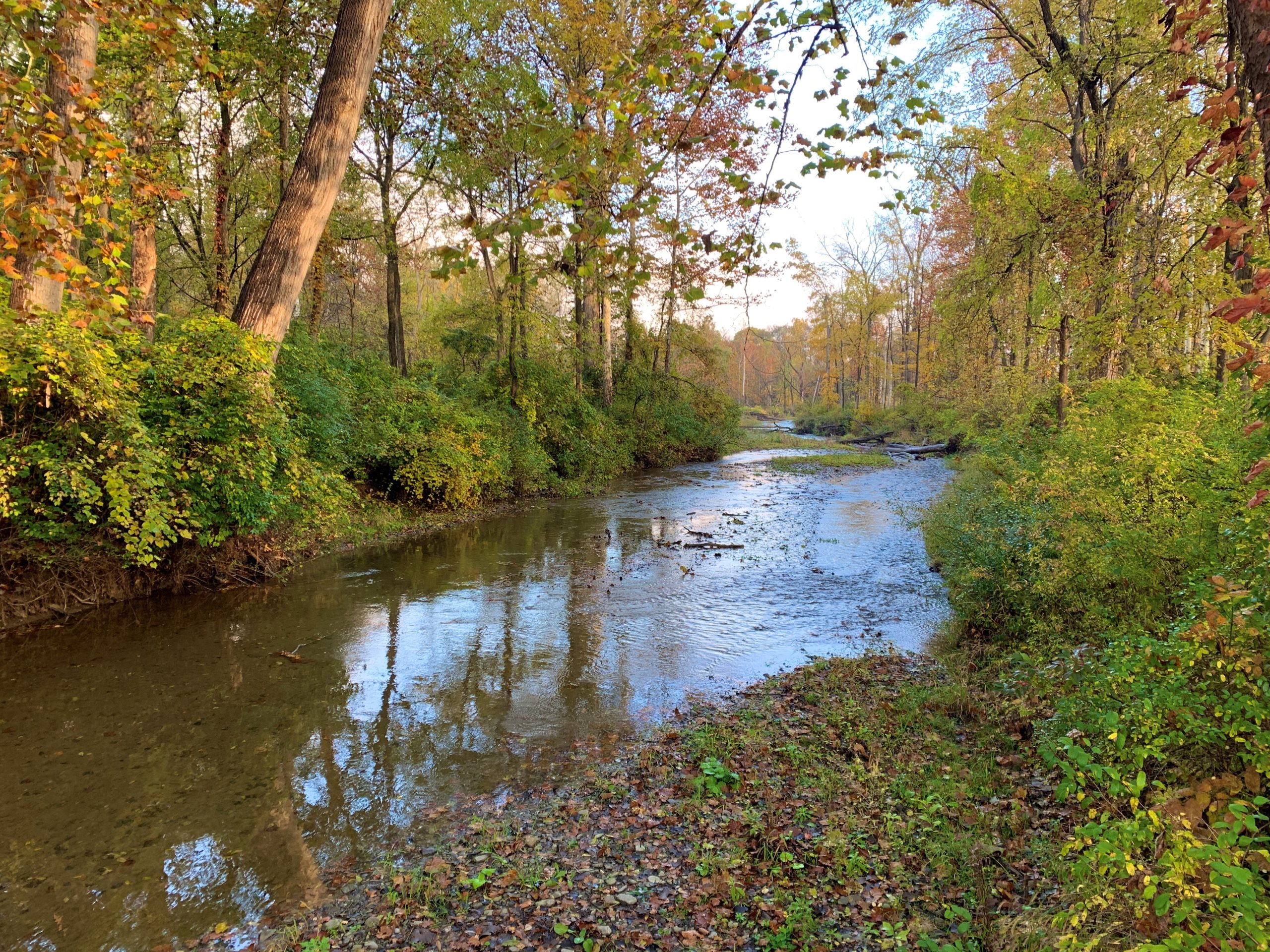Land trust buys 43 acres to protect water quality - The Ithaca Voice