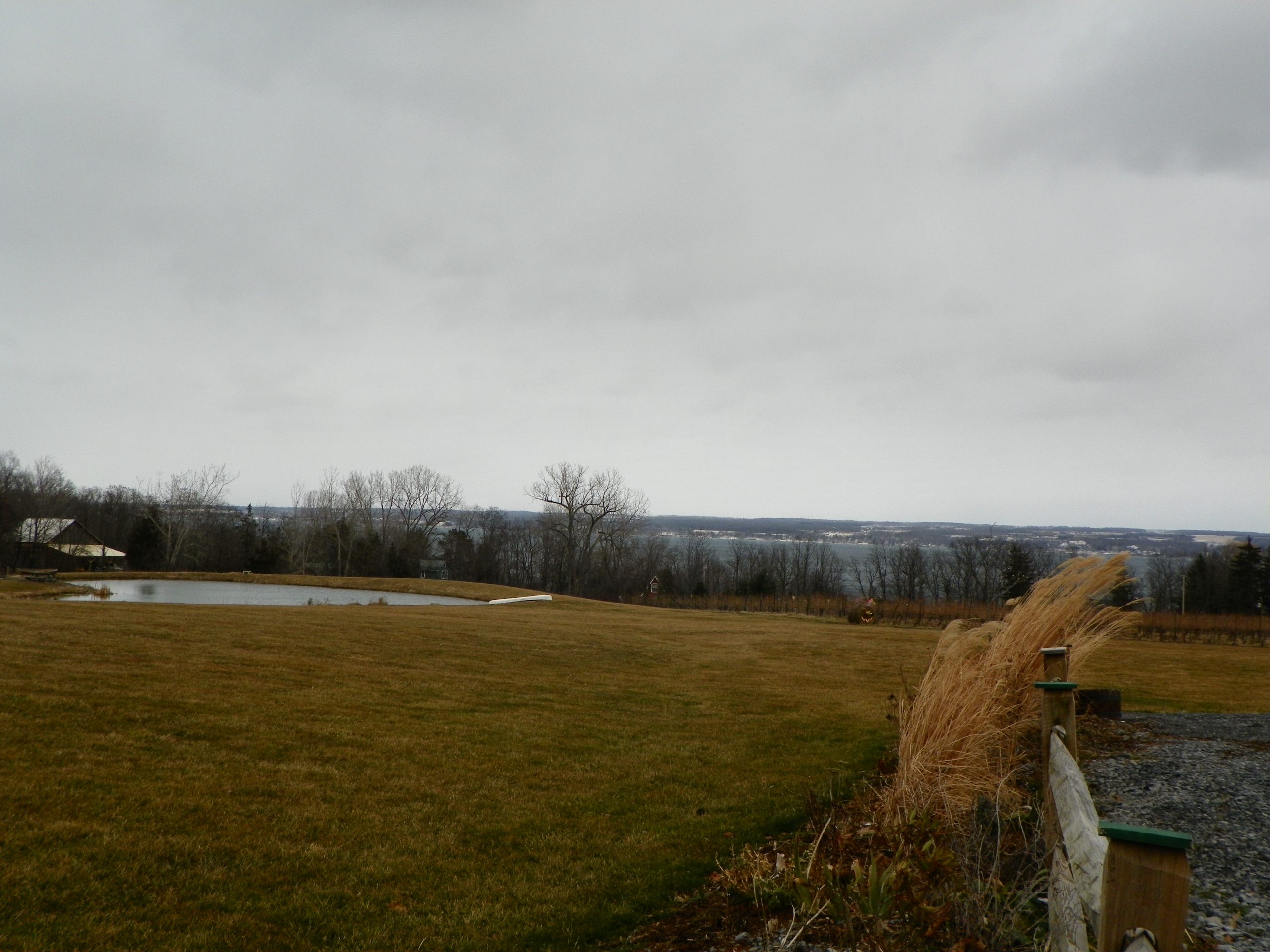 Weather: Warmer midweek, but unsettled for next weekend - The Ithaca Voice